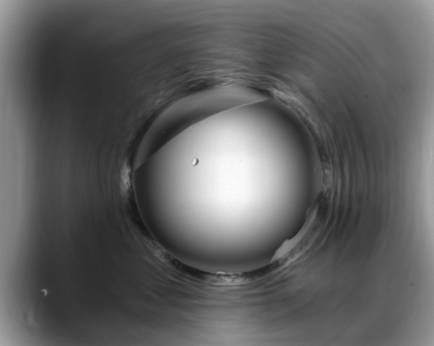 X0000088750621200706071721