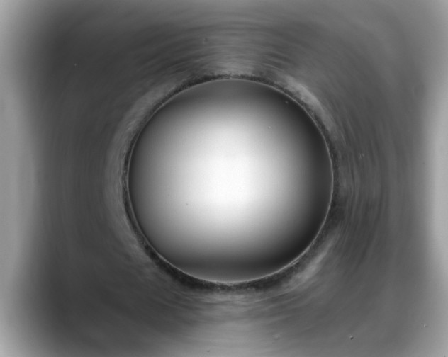X0000088750625200706071721