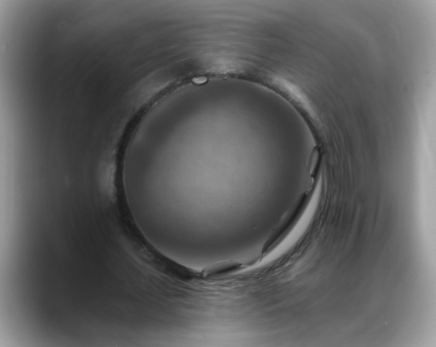 X0000088750627200706071721