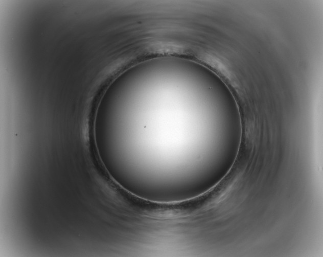 X0000088750629200706071721