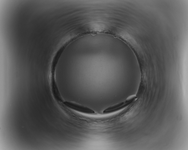 X0000088750630200706071721
