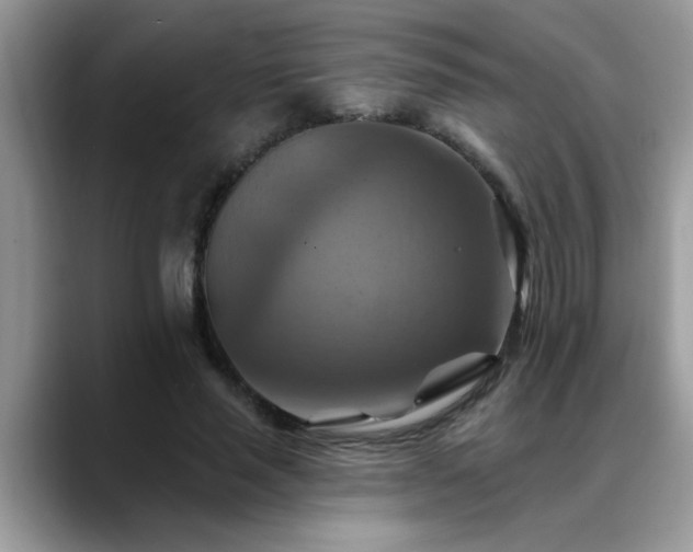 X0000088750637200706071721