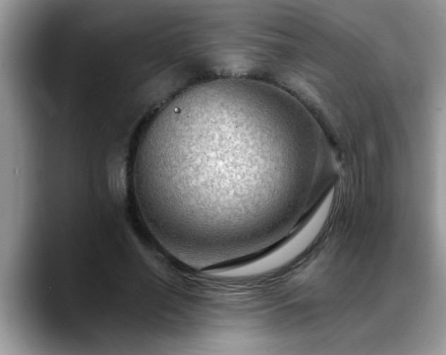 X0000088750638200706071721