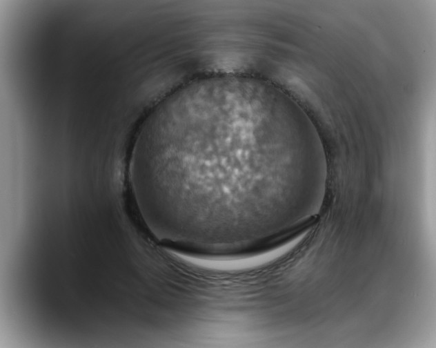 X0000088750640200706071721