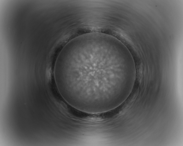 X0000088750644200706071721