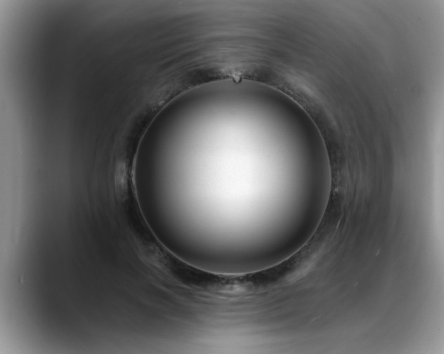 X0000088750646200706071721