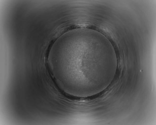 X0000088750647200706071721