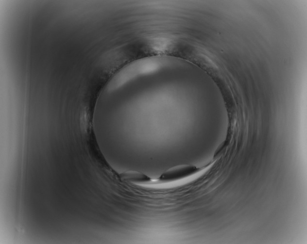 X0000088750651200706071721