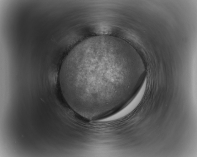 X0000088750652200706071721