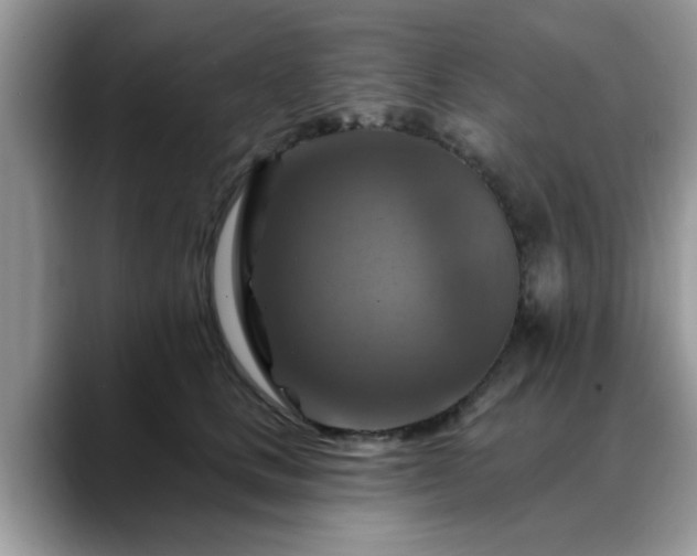X0000088750661200706071721