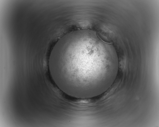 X0000088750662200706071721