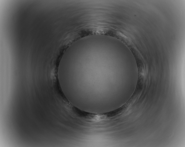 X0000088750663200706071721