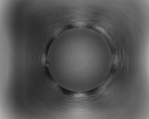 X0000088750669200706071721