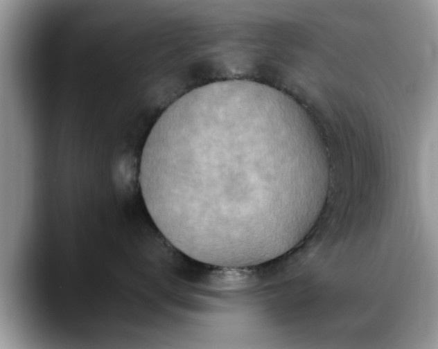 X0000088750672200706071721
