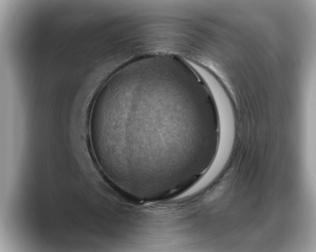 X0000088750673200706071721