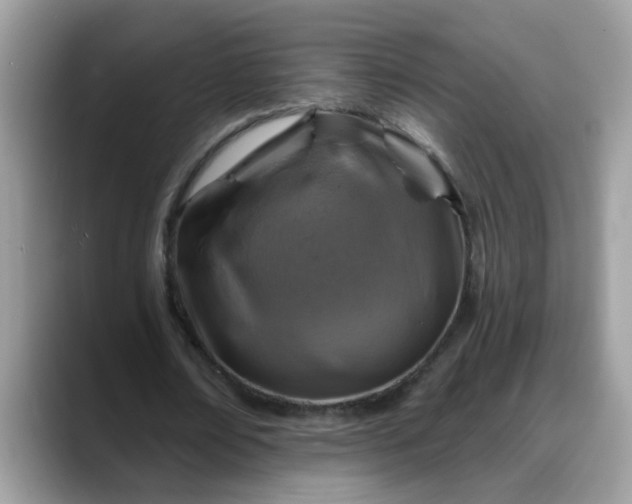 X0000088750674200706071721