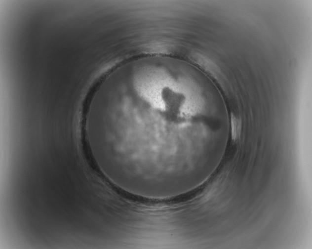 X0000088750675200706071721