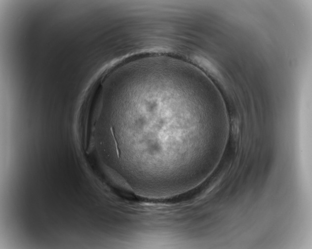 X0000088750676200706071721