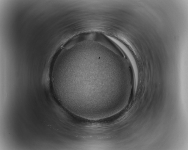 X0000088750677200706071721