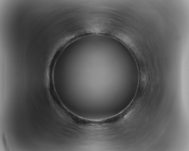 X0000088750678200706071721