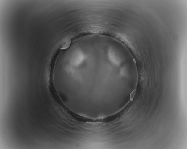 X0000088750679200706071721