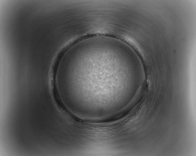 X0000088750680200706071721