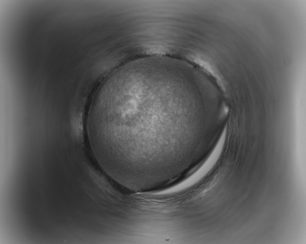 X0000088750681200706071721