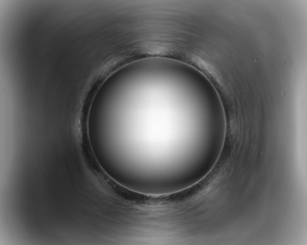 X0000088750682200706071721