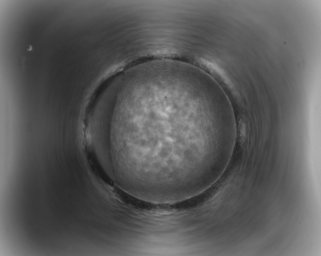 X0000088750684200706071721