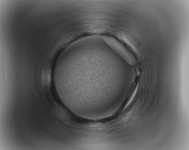 X0000088750685200706071721