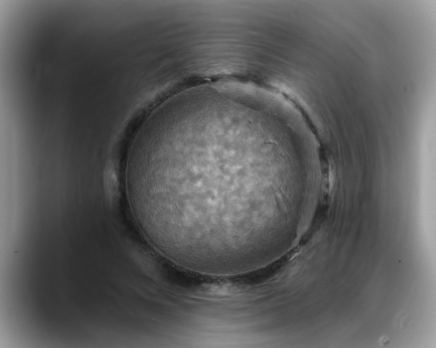 X0000088750688200706071721