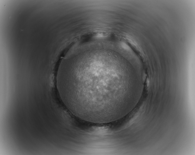 X0000088750689200706071721