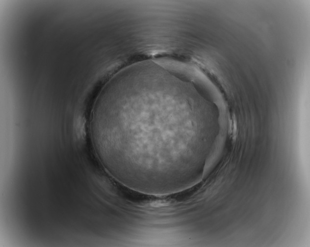 X0000088750692200706071720