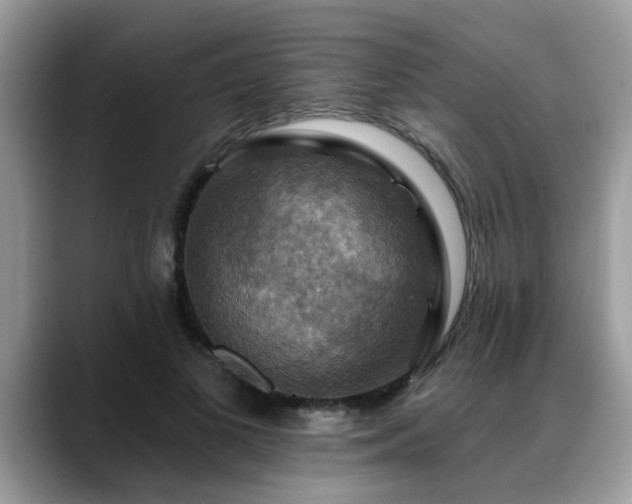 X0000088750693200706071720