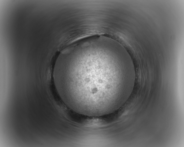X0000088750695200706071720