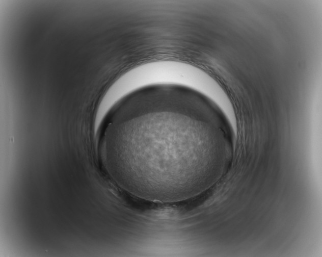 X0000088750696200706071720