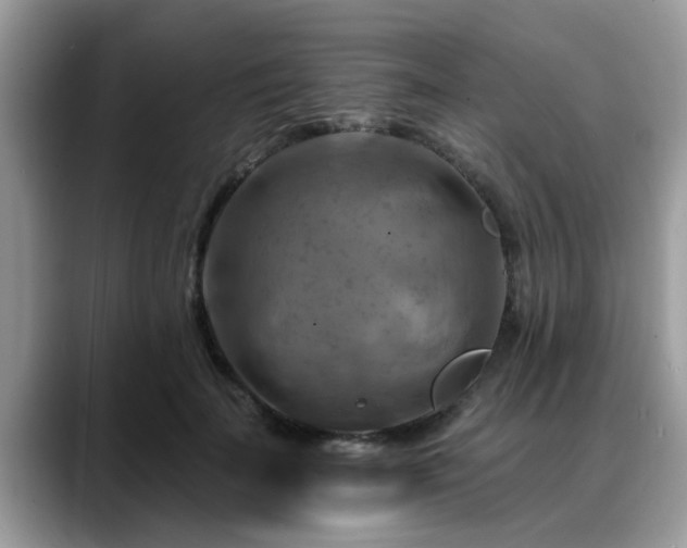 X0000088750699200706071720