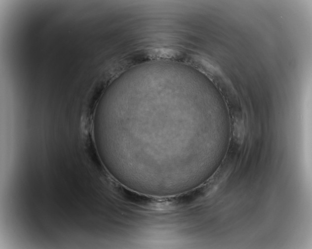 X0000088750701200706071720