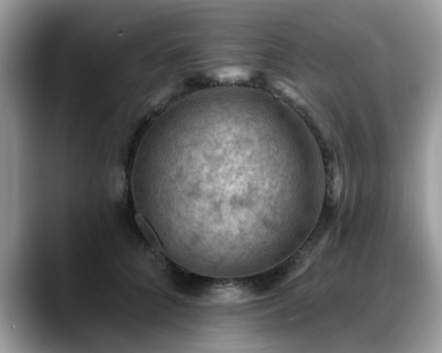 X0000088750704200706071720