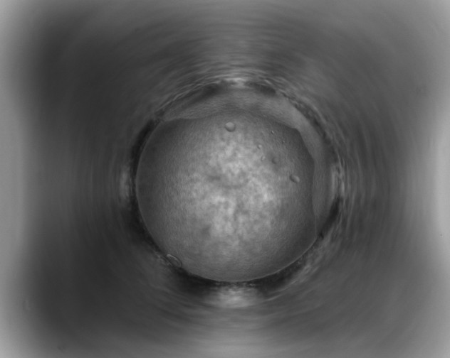 X0000088750708200706071720
