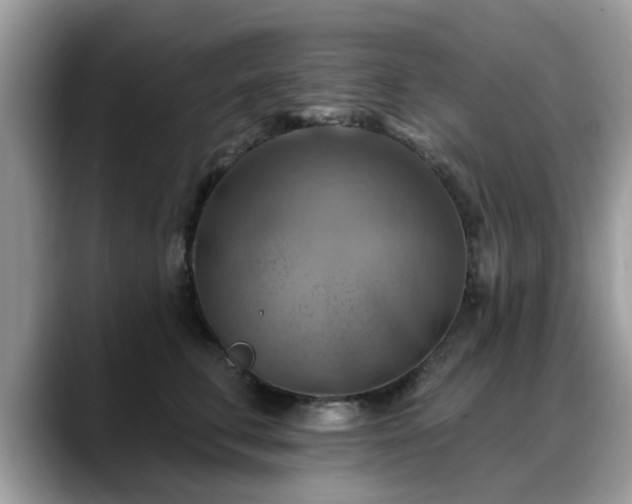 X0000088750711200706071720