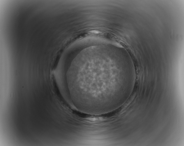 X0000088750712200706071720