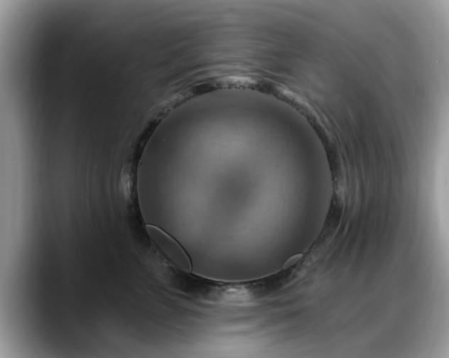 X0000088750715200706071720