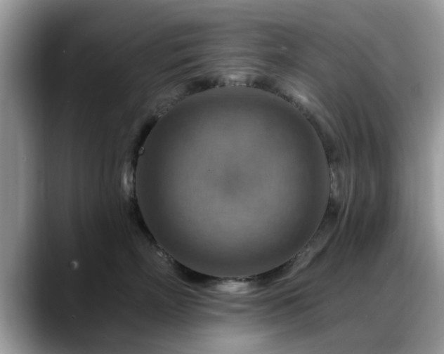 X0000088750718200706071720