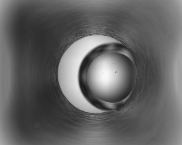 X0000088750720200706071720