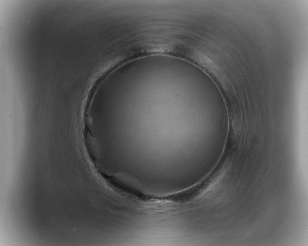 X0000088750721200706071719