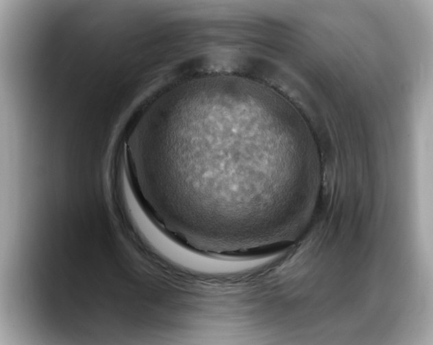 X0000088750722200706071719