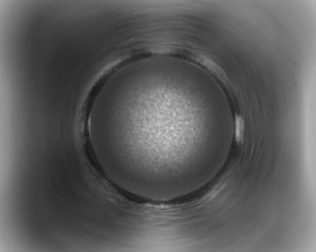 X0000088750723200706071720