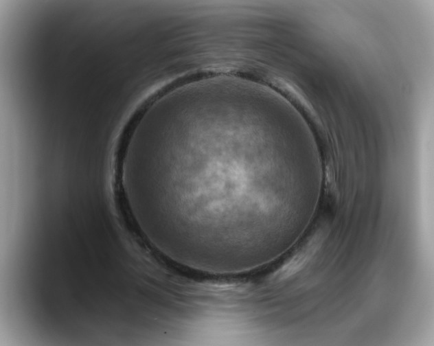 X0000088750724200706071720