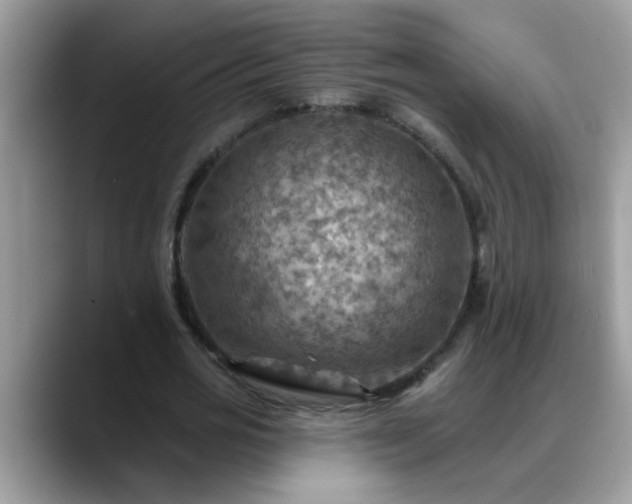 X0000088750725200706071720